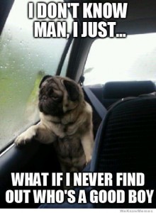 what-if-i-never-find-out-whos-a-good-boy-pug